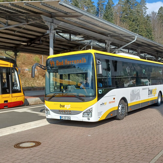 Regiobus vor Haltestelle, Hintergrund S-Bahn