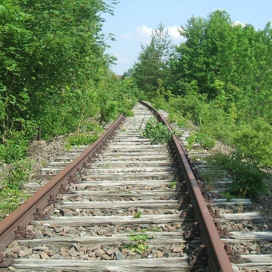 Bahngleise mit Pflanzen überwachsen