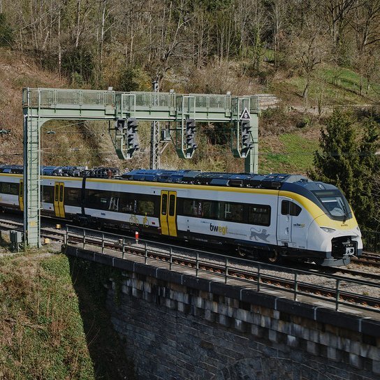 bwegt Zug auf Strecke Ortenau