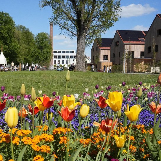 Blühendes Blumenbeet auf der Landesgartenschau Wangen im Allgäu