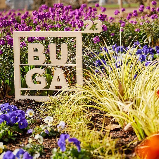 Pressebild mit Blumen im Hintergrund zur BUGA Mannheim 2023