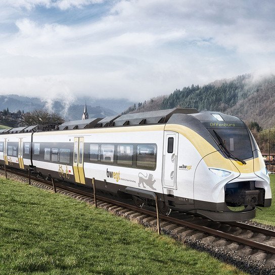 Bwegt Zug in Natur